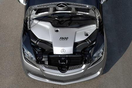 Vergessene Studien: Mercedes F 600 Hygenius (2005)
