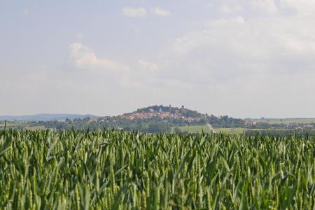 Von der Altstadt Stolpens in der Sächsischen Schweiz führt die Wanderung zunächst durch Felder und Wiesen - bis hin zur Burg...