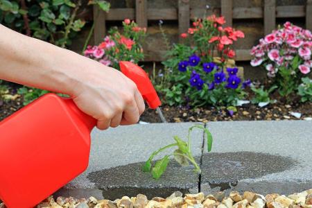 Aber auch für den Garten kann Essig eine wunderbare Hilfe sein. Besonders bei der Entfernung von lästigen Unkrautpflanzen ka...