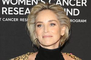 Sharon Stone kann Hardcore-Version von "Basic Instinct" nicht stoppen