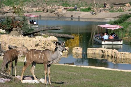 Gelsenkirchen Afrika_Jochen Tack.jpg