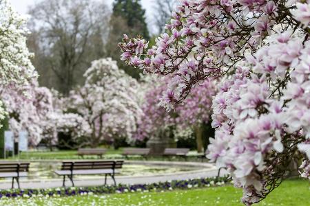 Stuttgart botanischer Garten_Arnulf Hettrich.jpg