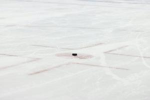 Eisbären-Chef Lee wechselt in den Aufsichtsrat der Berliner