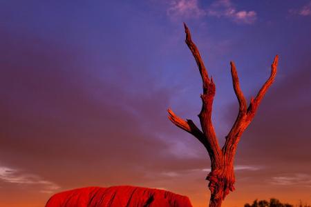 Der Ayers Rock, auch Uluru genannt, zählt zu den bekanntesten Wahrzeichen Australiens. Aufgrund seiner hohen spirituellen Be...