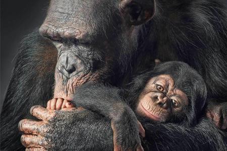 Der prämierte Fotograf Tim Flach widmet sich mit 