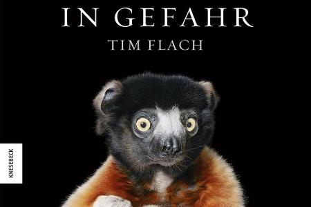 Tim Flach bezeichnet sein Fotoprojekt über gefährdete Tierarten als das wichtigste seiner Karriere. Mit seinen Porträts will...