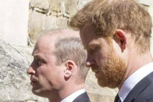 Skandal um Diana-Interview: William und Harry mit drastischen Worten
