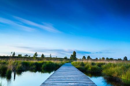 Der deutsch-belgische Naturpark Venn-Eifel hat sich selbst 