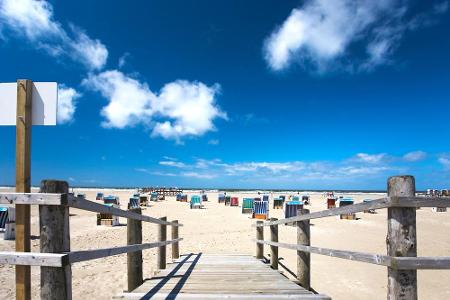 In Schleswig-Holstein liegt Sankt Peter-Ording. Dort machen Salzwiesen und Kiefernwälder die Wanderungen zu einem besonderen...