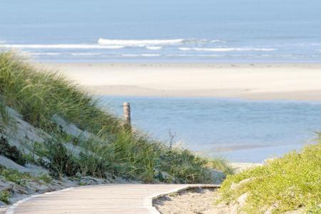 Auf Langeoog können sich die Aktiven beim Strandkegeln austoben oder auf die Aussichtsdüne Melkhörn steigen. Die Genießer kö...