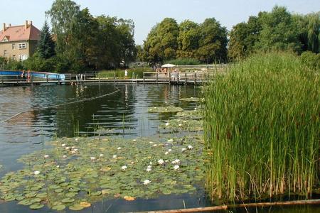 Beste Freibäder: Ökobad Lindenthal