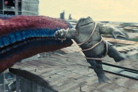 Seestern versus Hai: The Suicide Squad Seestern versus Hai: The Suicide Squad