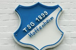 "TSG hilft": Hoffenheim unterstützt weitere 16 Vereine