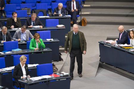 AfD Bundestag.jpg