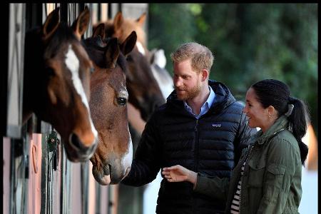 Prinz Harry Herzogin Meghan Rabat königlichen Verband des Pferdesports