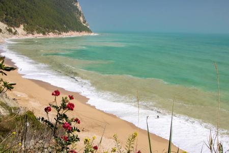 Die Kombination Sand und Wald gibt es am Strand von San Michele. Er liegt in Mittelitalien in der Nähe von Sirolo. Viele Bes...