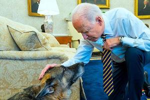 Joe Biden: Schäferhund Champ ist gestorben