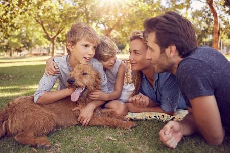 Hund mit Familie