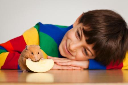 Hamster mit Kind