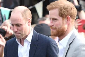 Enthüllung der Diana-Statue: William und Harry kürzen Gästeliste