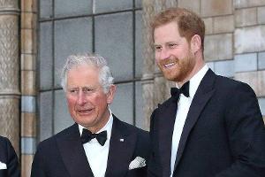 Gedenken an Diana: Kein Treffen zwischen Prinz Harry und Prinz Charles