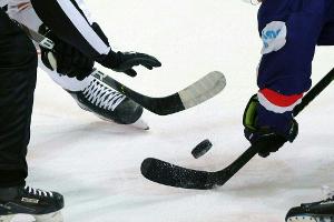 DEL: Berlin als zweites Team vorzeitig für Play-offs qualifiziert