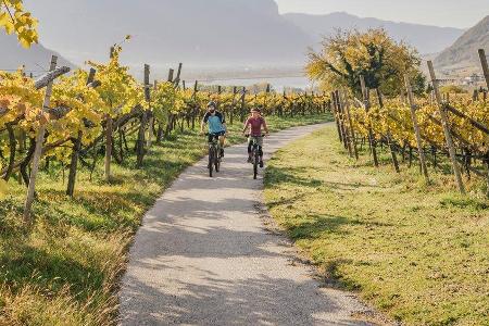 Radtour durch die Weinreben mit Blick auf den Kalterer See