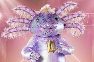 Das Axolotl wird neben der Chili oder dem Mops auf der "Masked Singer"-Bühne stehen.