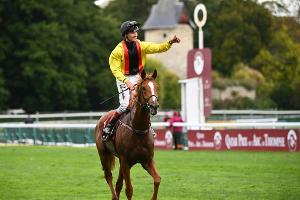 Galopp: Torquator Tasso setzt Rennkarriere fort