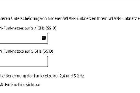 Wenn Sie Band-Steering abschalten, sollten Sie den Funknetzen unterschiedliche Namen geben, um einzelne Geräte gezielt mit d...