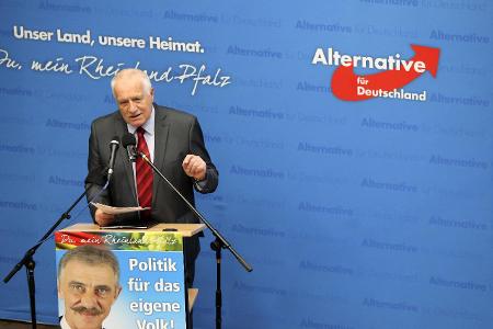 Vaclav Klaus bei der Wahlkampf-Abschlussveranstaltung der Af...