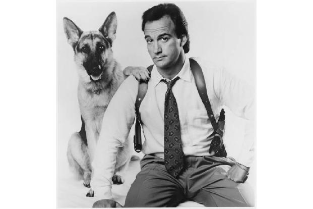 Diesen Schauspieler hätte man vielleicht nicht als Cannabis-Bauer erwartet: Jim Belushi eröffnete vor wenigen Jahren Belushi...