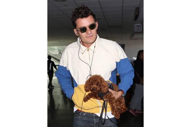 ...Orlando Bloom mit! Die süßen Vierbeiner der Promis dürfen nicht selbst laufen, sie werden getragen. Orlando hat aber kein...