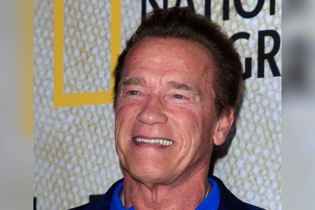 Auch Arnold Schwarzenegger ist auf den Esel gekommen. Er lebt zusammen mit seinem Esel Lulu, Zwergpony Whiskey sowie seinen ...