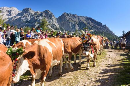 Almabtrieb Österreich