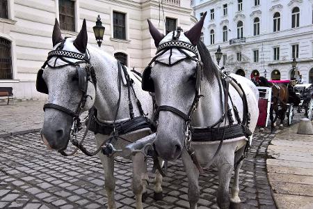 Fiaker Österreich