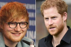 Überraschungsauftritt von Prinz Harry und Ed Sheeran
