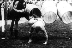 Kuriose Geschichten: Das geschah alles bei Olympia