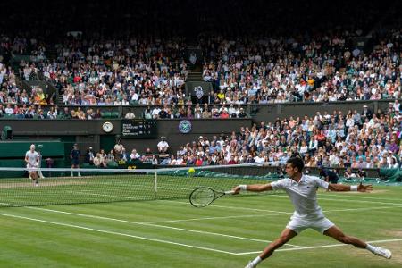 Wimbledon: Djokovic im Finale gegen Berrettini