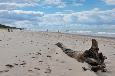 Indiana: Am Rande des Michigansees liegt der Indiana Dunes State Park. Obwohl dieser US-Staat im Landesinneren liegt, hat er...