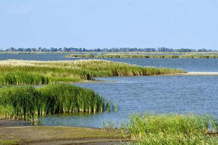 Kansas: Die Baker Wetlands sind ein Naturschutzgebiet südlich des Ortes Lawrence. Das Gebiet ist ein Paradies für Naturliebh...