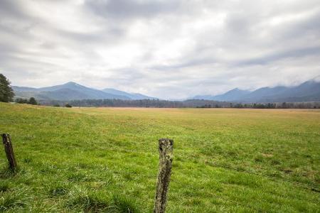 Tennessee: Casdes Cove ist ein weitläufiges Tal im Great Smoky Mountains National Park. Mehr als zwei Millionen Besucher gen...