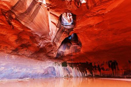 Utah: Golden Cathedral, 