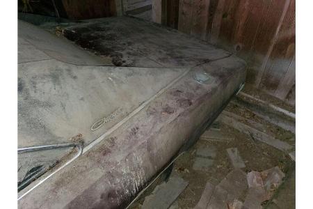 Dodge Charger Scheunenfund