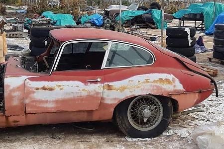 12/2019, Jaguar-Oldtimer Gewächshaus-Fund England