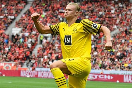 Spektakel in Leverkusen: Haaland rettet Dortmund an Roses Geburtstag Spektakel in Leverkusen: Haaland rettet Dortmund an Roses Geburtstag