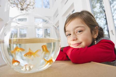 Skurrile Tiere Fische
