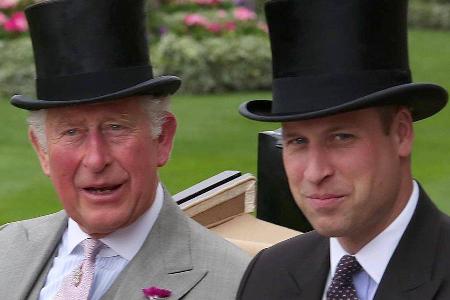 Prinz Charles und Prinz William arbeiten mit TV- und Streamingdiensten zusammen.