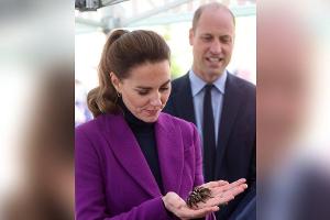 Furchtlose Kate lässt Tarantel über ihre Hand krabbeln