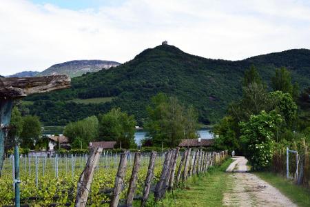 Fünf Haupttäler gehören zu Südtirol. Eines davon ist das Unterland mit dem Fluss Etsch. Es ist das bekannteste Weinanbaugebi...